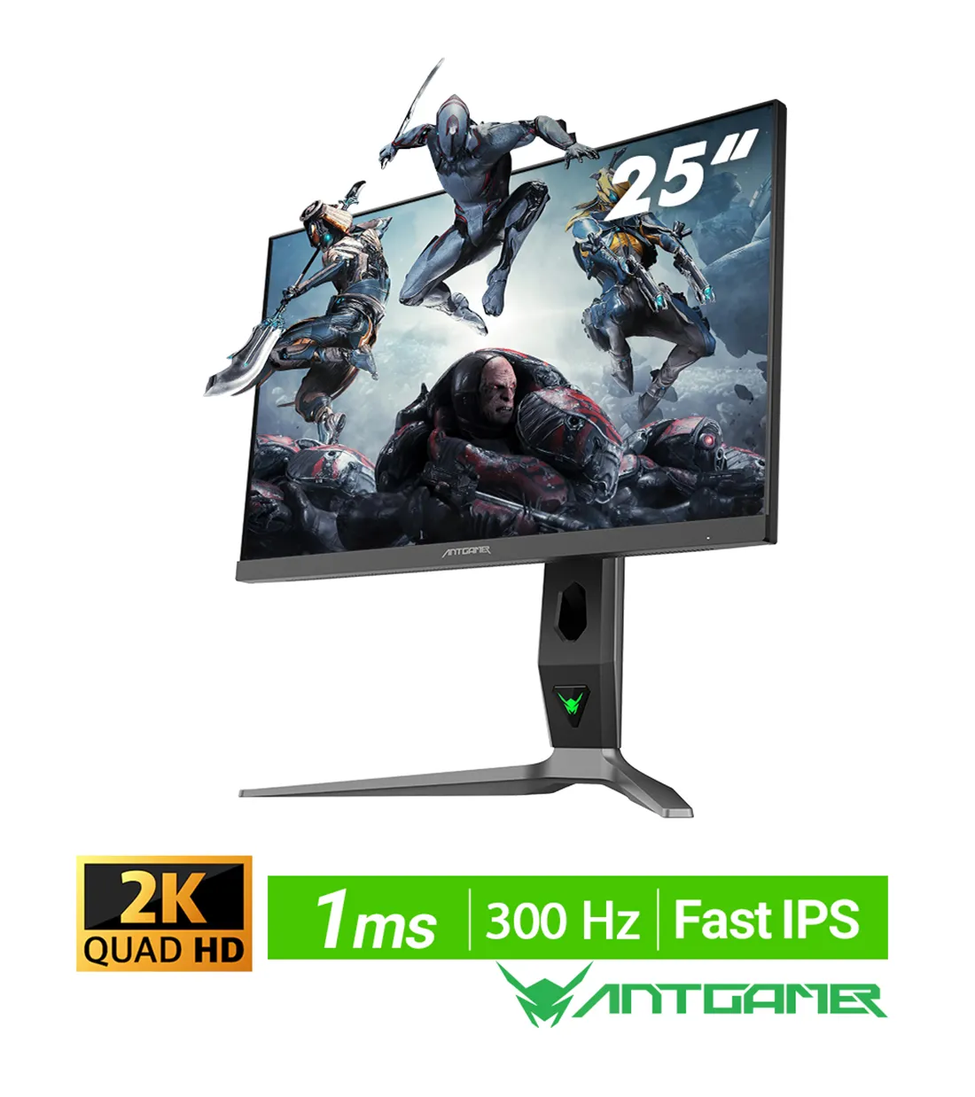 مانیتور گیمینگ 25 اینچ انت گیمر ANT253PQ