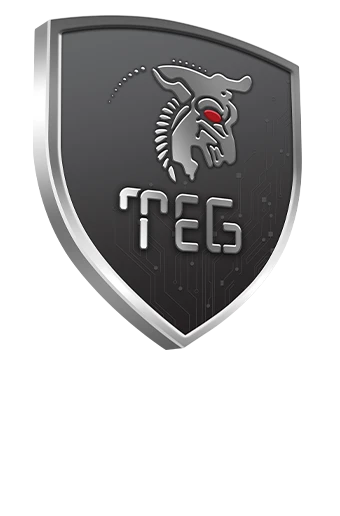 گروه مهندسین تخت جمشید