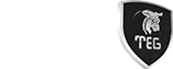 گروه مهندسین تخت جمشید